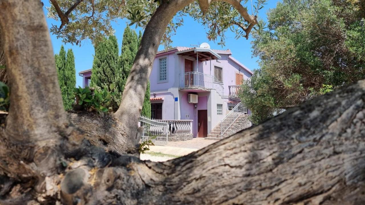 Apartmani Nika Bibinje Exterior photo