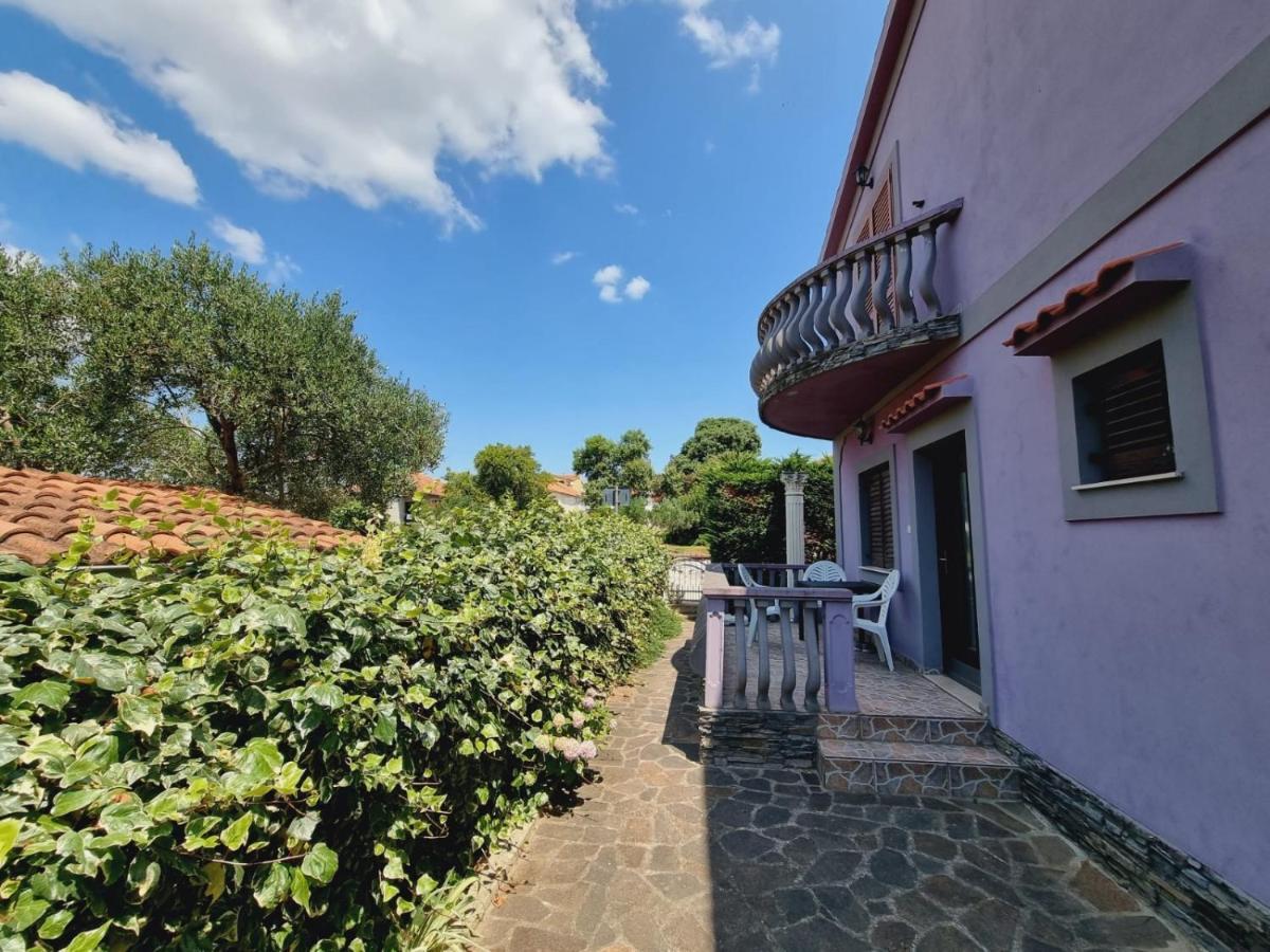 Apartmani Nika Bibinje Exterior photo