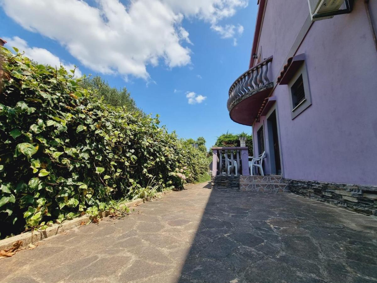 Apartmani Nika Bibinje Exterior photo